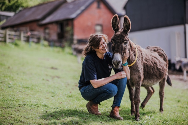 In the press: The Donkey Sanctuary receives royal recognition for employee training